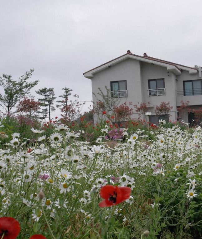 Baghdad House Villa Jeju Exterior photo